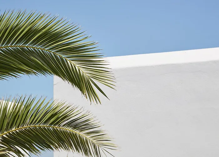 Mrs Armelina By Mr And Mrs White Gasthuis