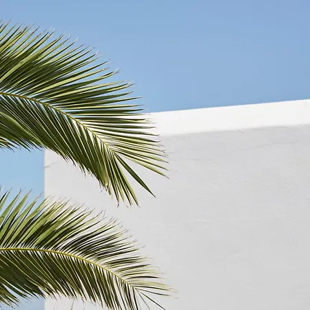 Mrs Armelina By Mr And Mrs White Πανσιόν