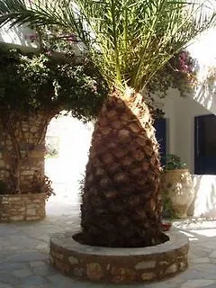 Mrs Armelina By Mr And Mrs White Πανσιόν